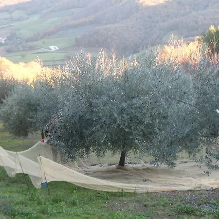 Vocabolo Torre * Monte Santa Maria Tiberina